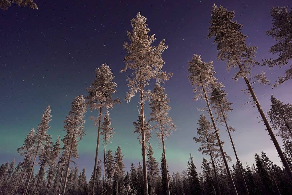 Where to see the Northern Lights in Finland