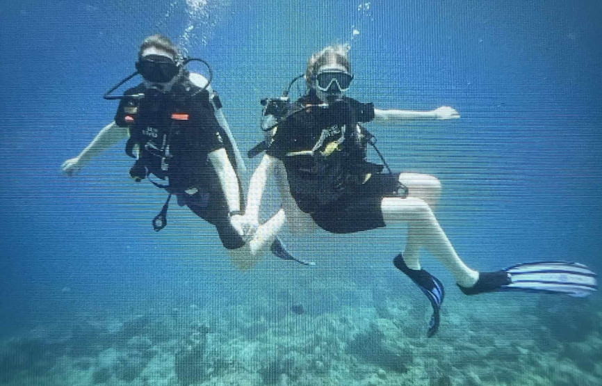 Dive in the Maldives