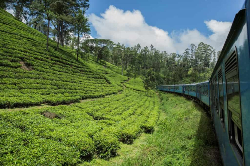 Train from Kandy to Nuwara Eliya, Sri Lanka