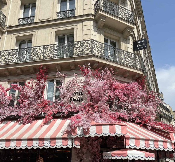 Spring flowers at the Brasserie La favorite Saint-Paul in the Marais district of Paris, France