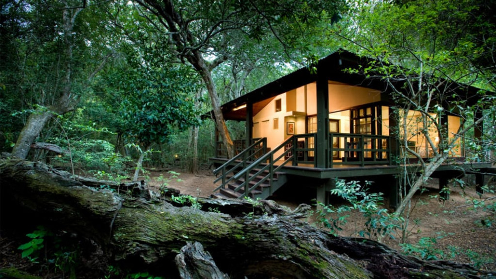 Phinda Forest Lodge in South Africa