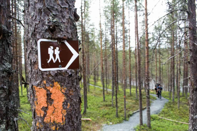 Hiking along the trails of Hossa National Park